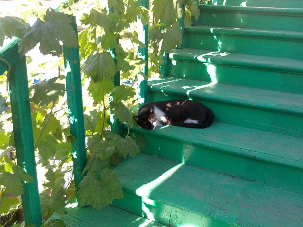 Green Stairs Guest House Tbilisi Zewnętrze zdjęcie
